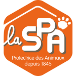 La SPA avec un éducateur canin à Saintry-sur-Seine | Kractère Knin